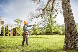 Trusted Redway, CA Tree Removal and Landscaping Services Experts